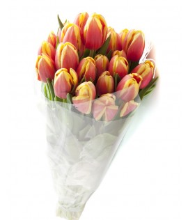 More than 10 different types of flowers