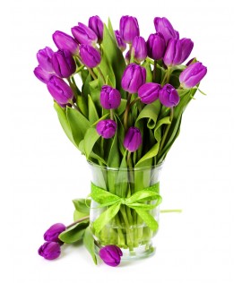 More than 10 different types of flowers